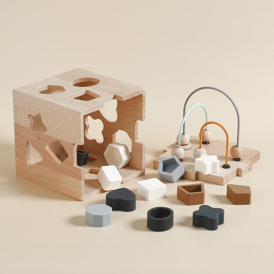 A Logic Box - Poco Wooden Toy - Pocotoys